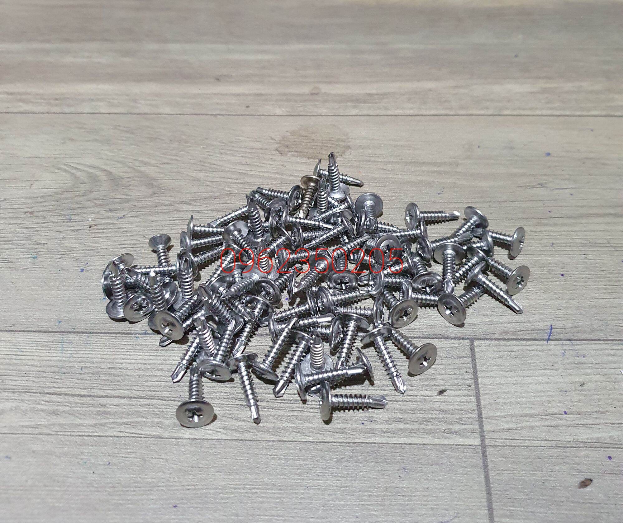 [HCM]100 gr Vít Đuôi Cá Đầu Dù Inox 13,19,25,30mm.