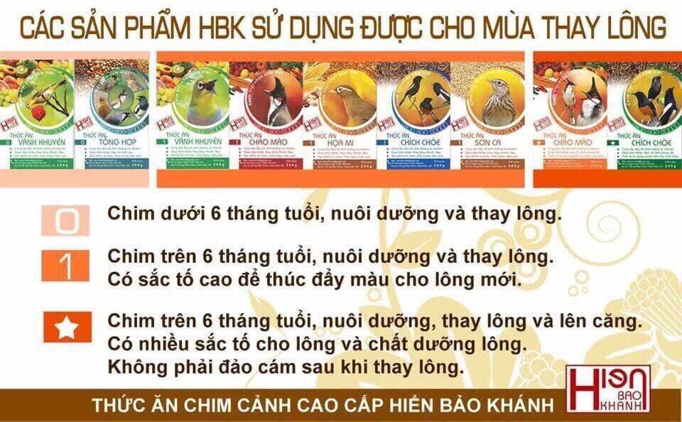 Cám Chòe Than Cao Cấp Hiển Bảo Khánh căng lửa