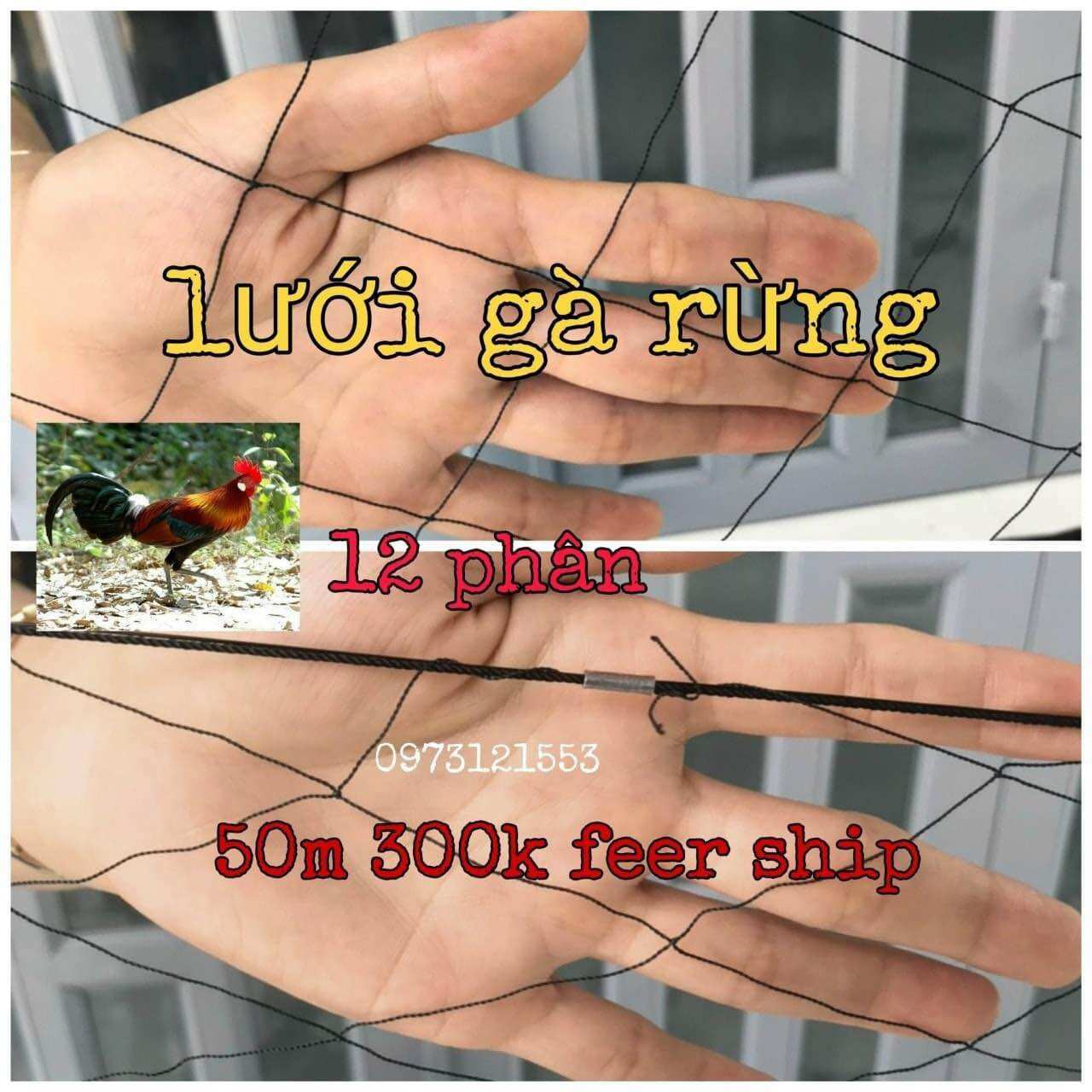 Lưới bẫy gà rừng dài 20m . cao 4m . lưới dù độ 4.mắt lưới 12cm .có kẹp chì bằng máy