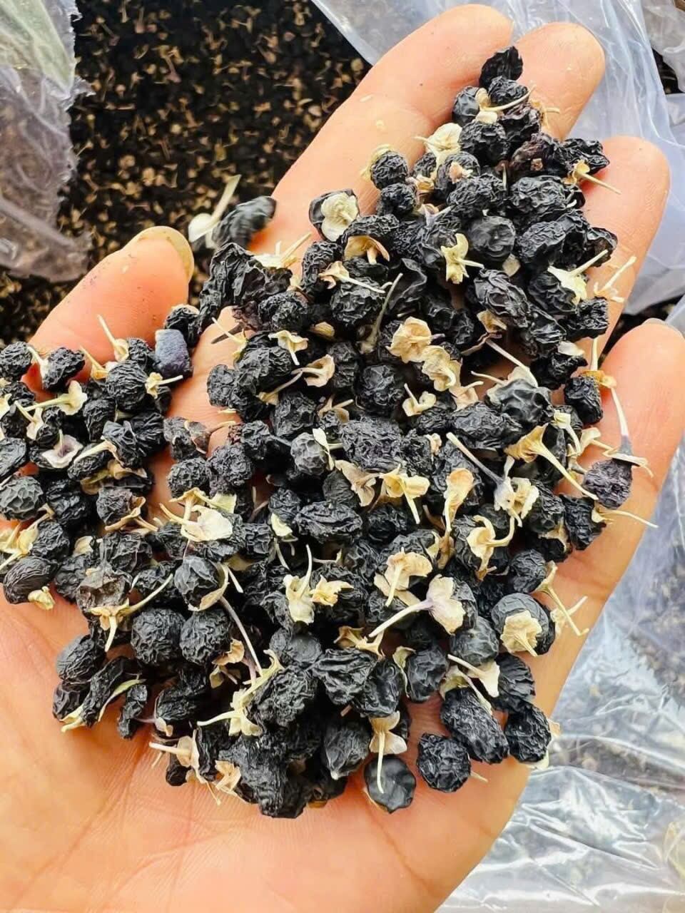 Hắc kỷ tử đóng gói túi 100gram