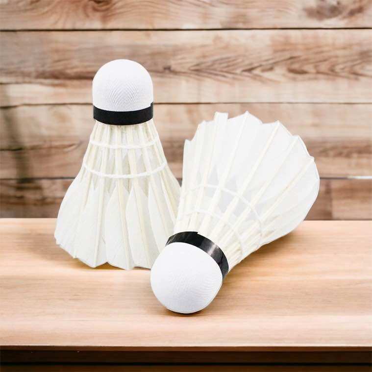 Set 2 quả cầu lông đánh vợt