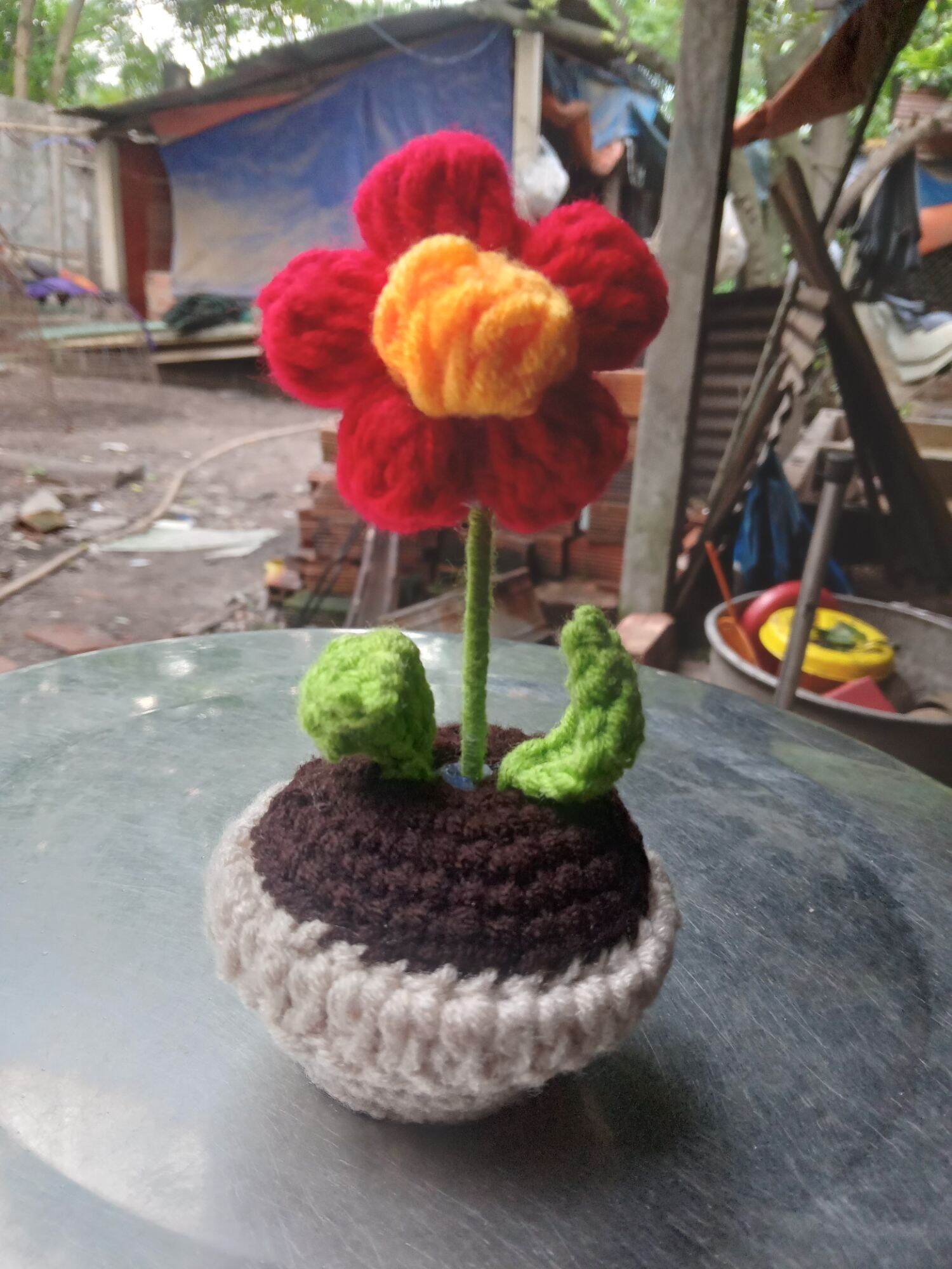 Chậu Hoa len mini, chậu hoa len handmake 5 cánh.