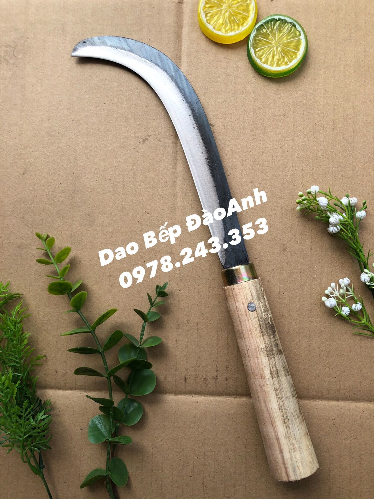 Liềm ngoặc dừa