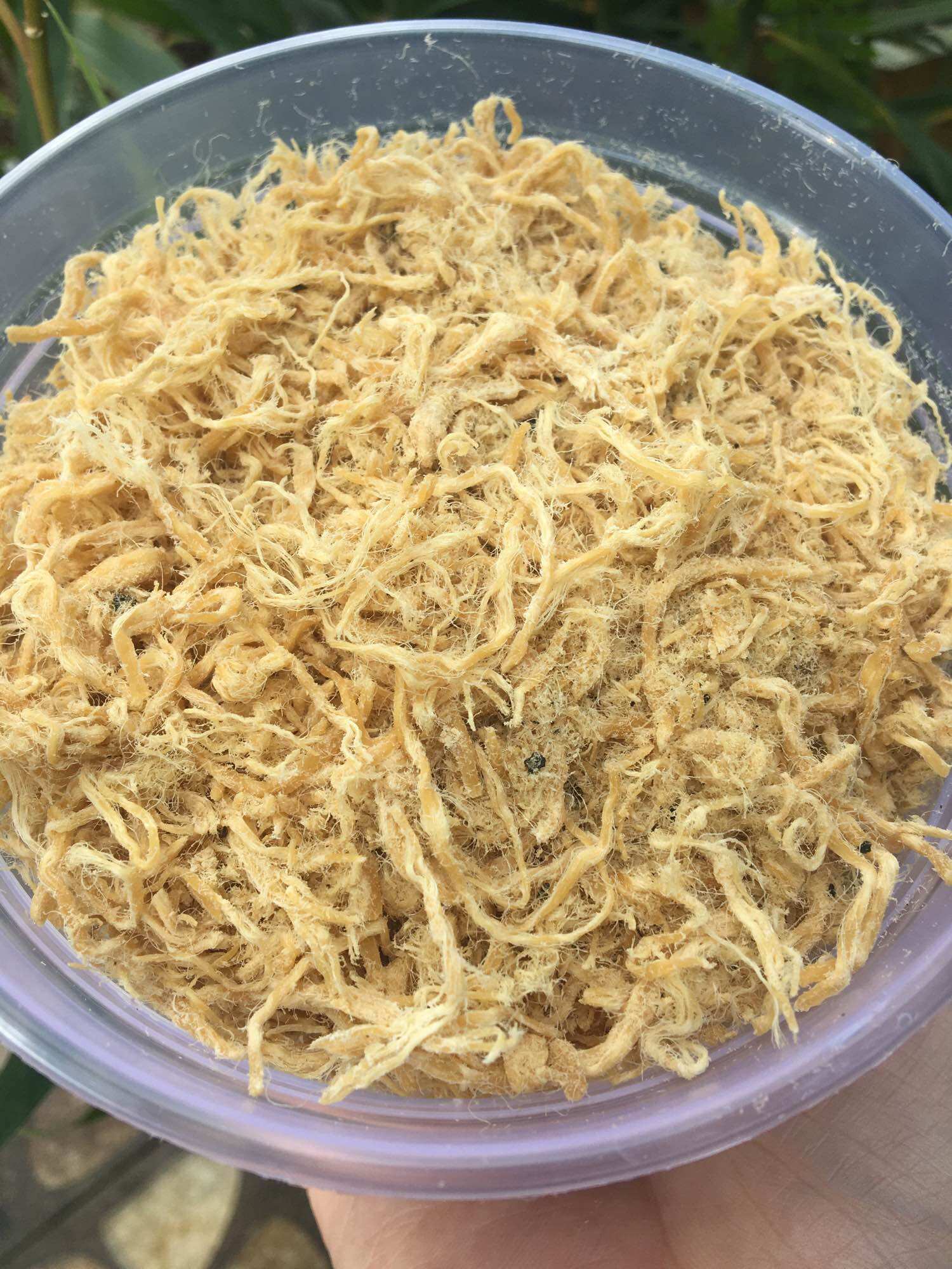 100gr Chà bông gà