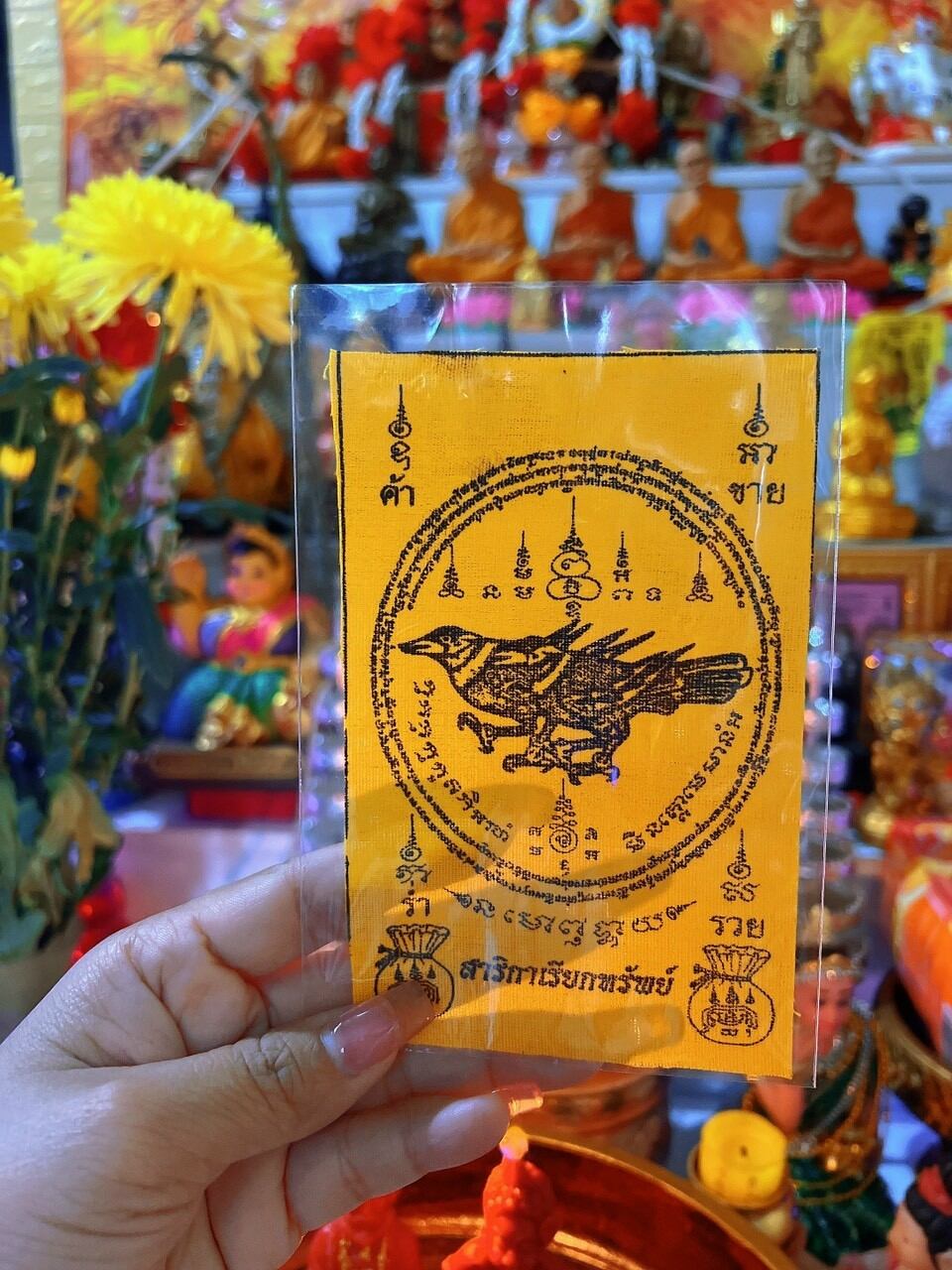 Lá chim vẹt salika