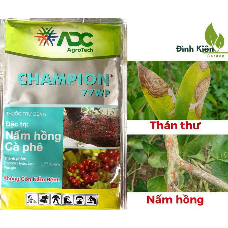  Thuốc Trừ Bệnh Thán Thư – Nấm Hồng Champion 77WP  100g  