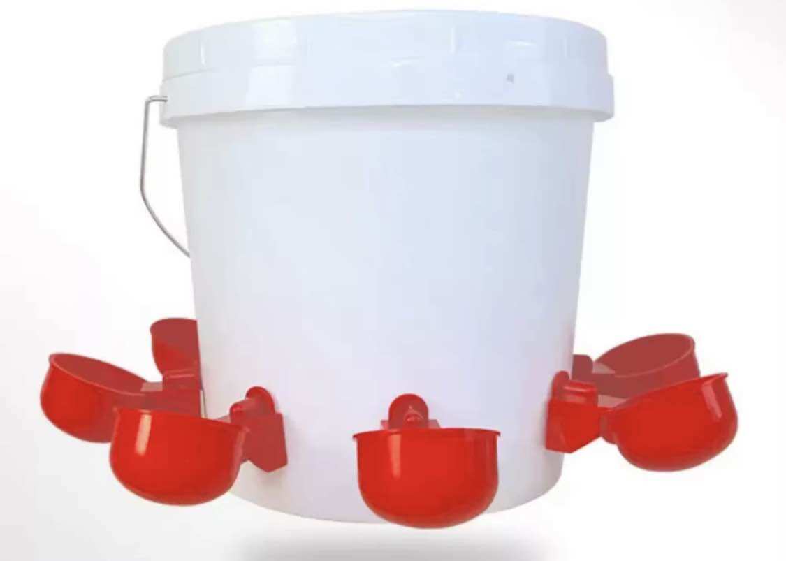 1 Máng uống nước cho gà tự động.