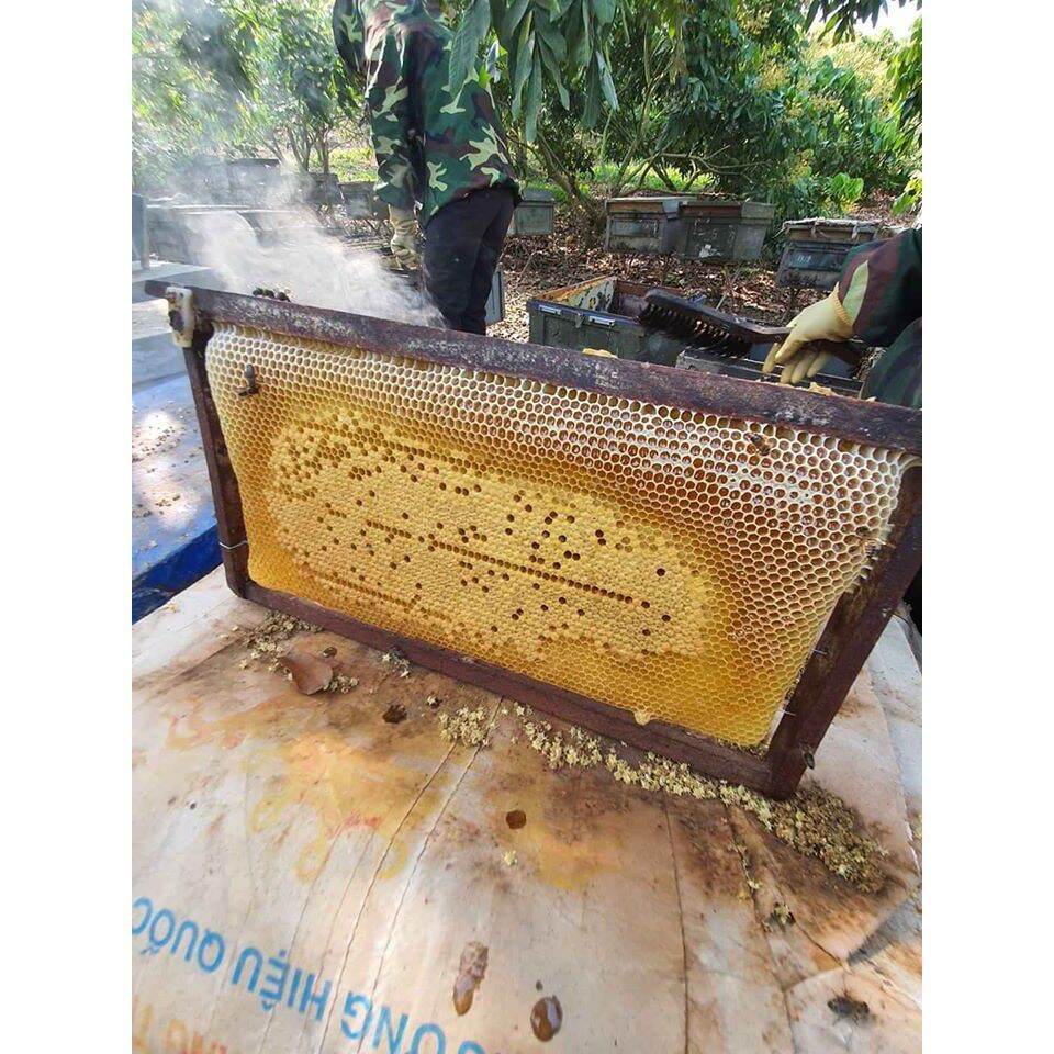 Mật ong hoa nhãn nguyên chất 100%
