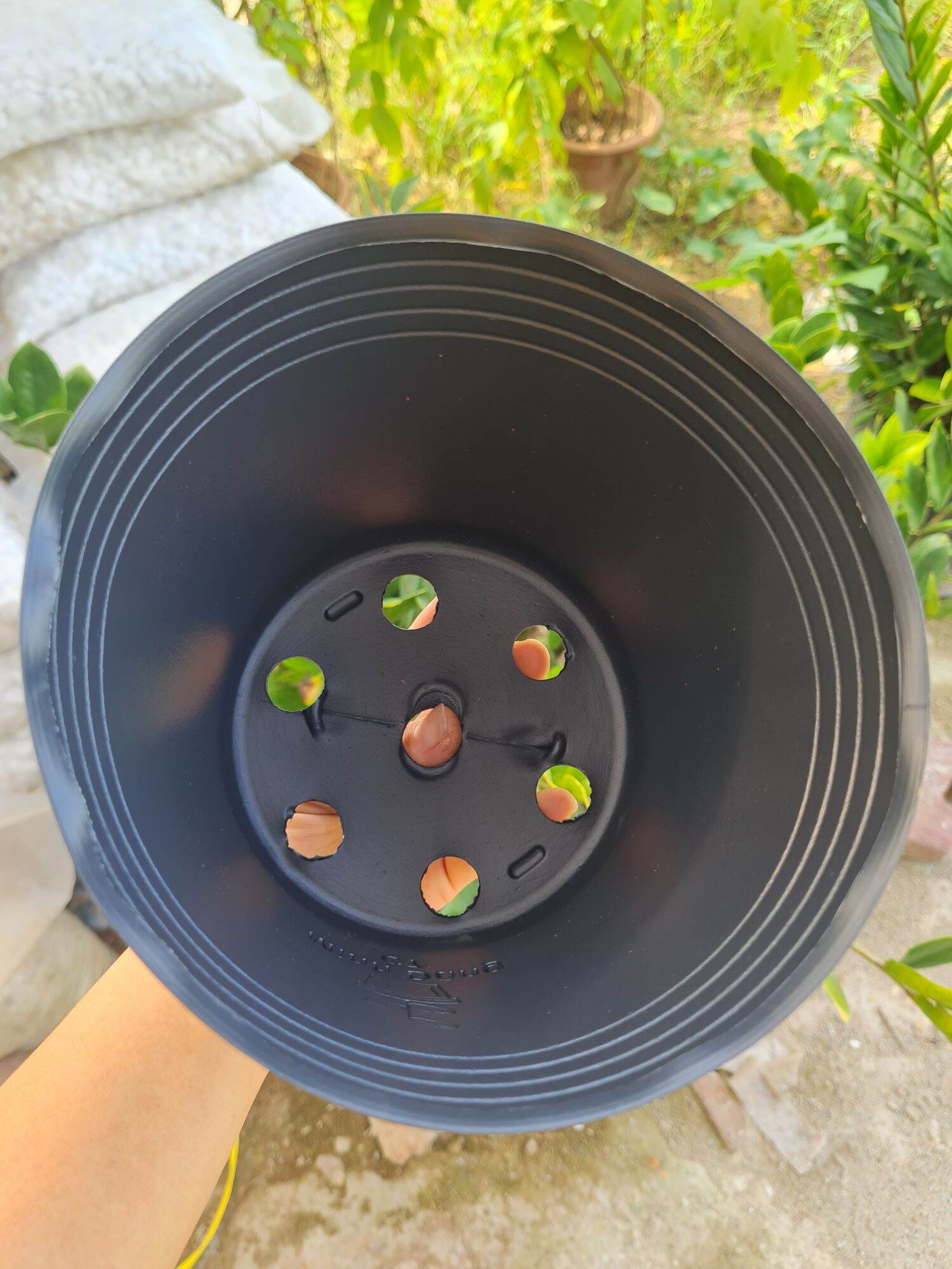 Bầu cứng ươm cây C7 kt 15x14cm