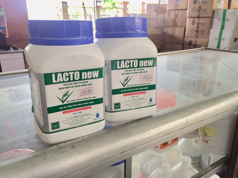 Phân trắng trên tôm ( men tiêu hoá Lacto new - lon 500gr)