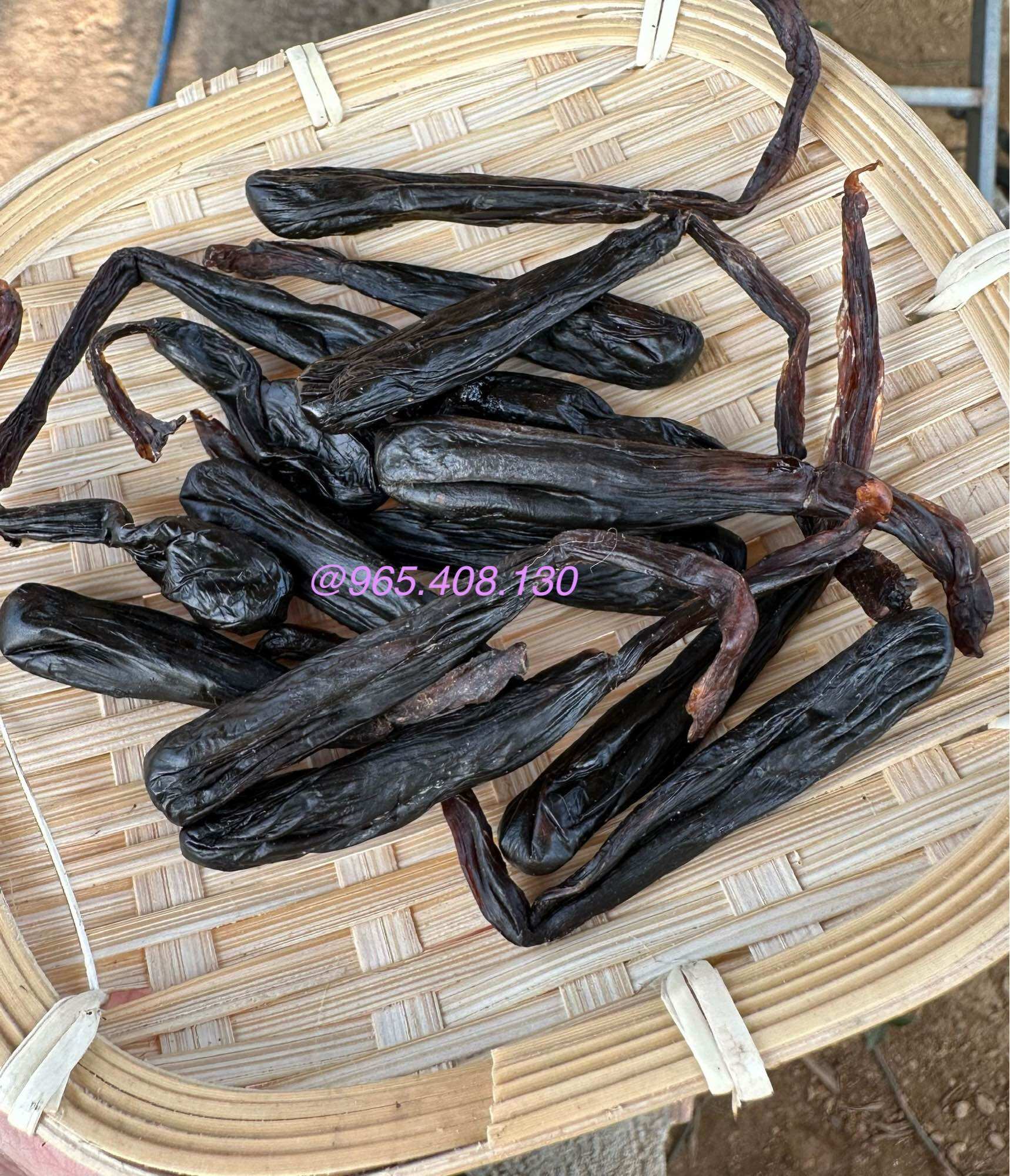 [CHÍNH HÃNG] Mật Kì Đà Chuẩn Rừng Lai Châu (Tây Bắc Shop)
