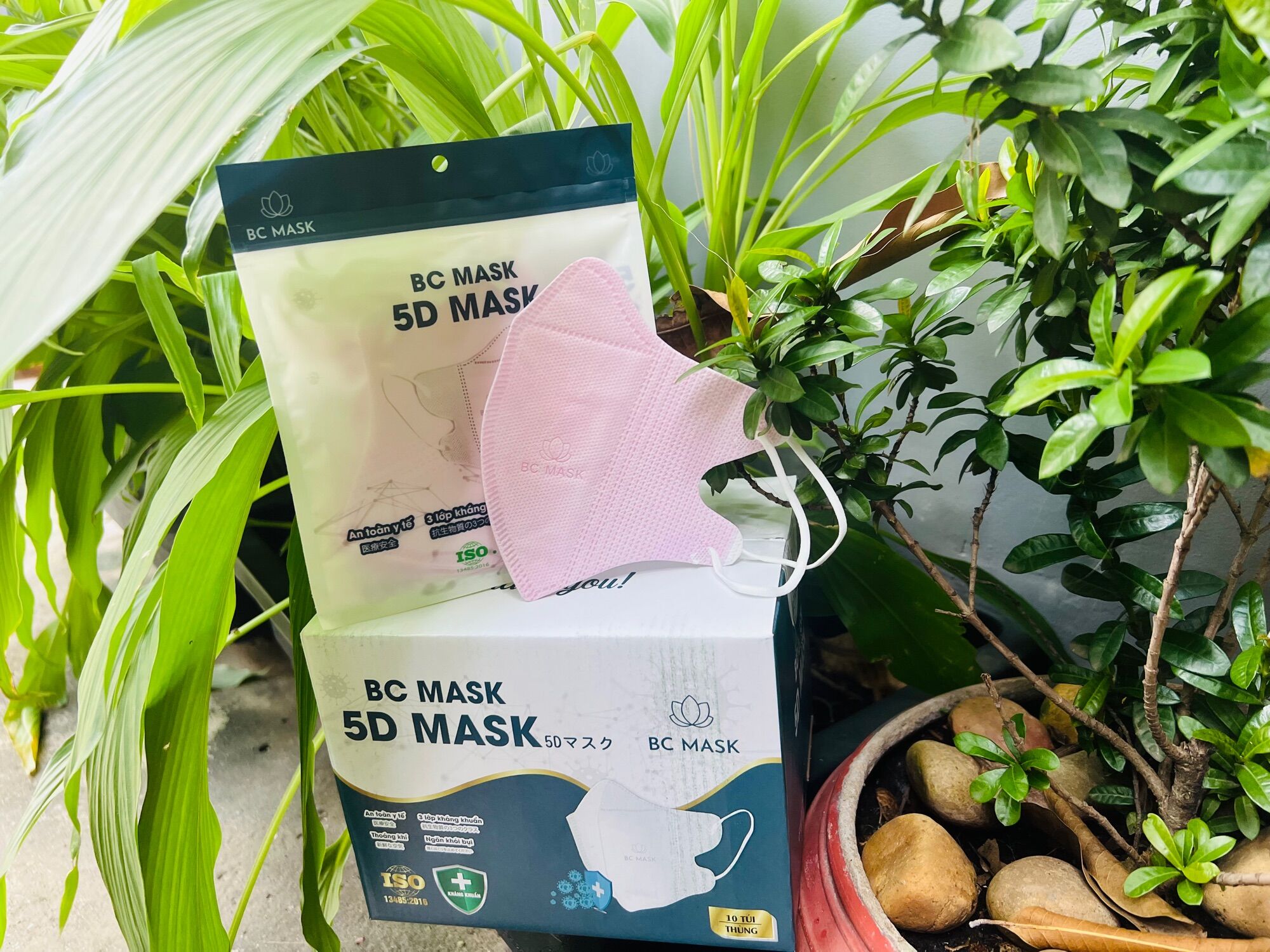 Thùng 100C KHẨU TRANG 5D BẢO CHÂU