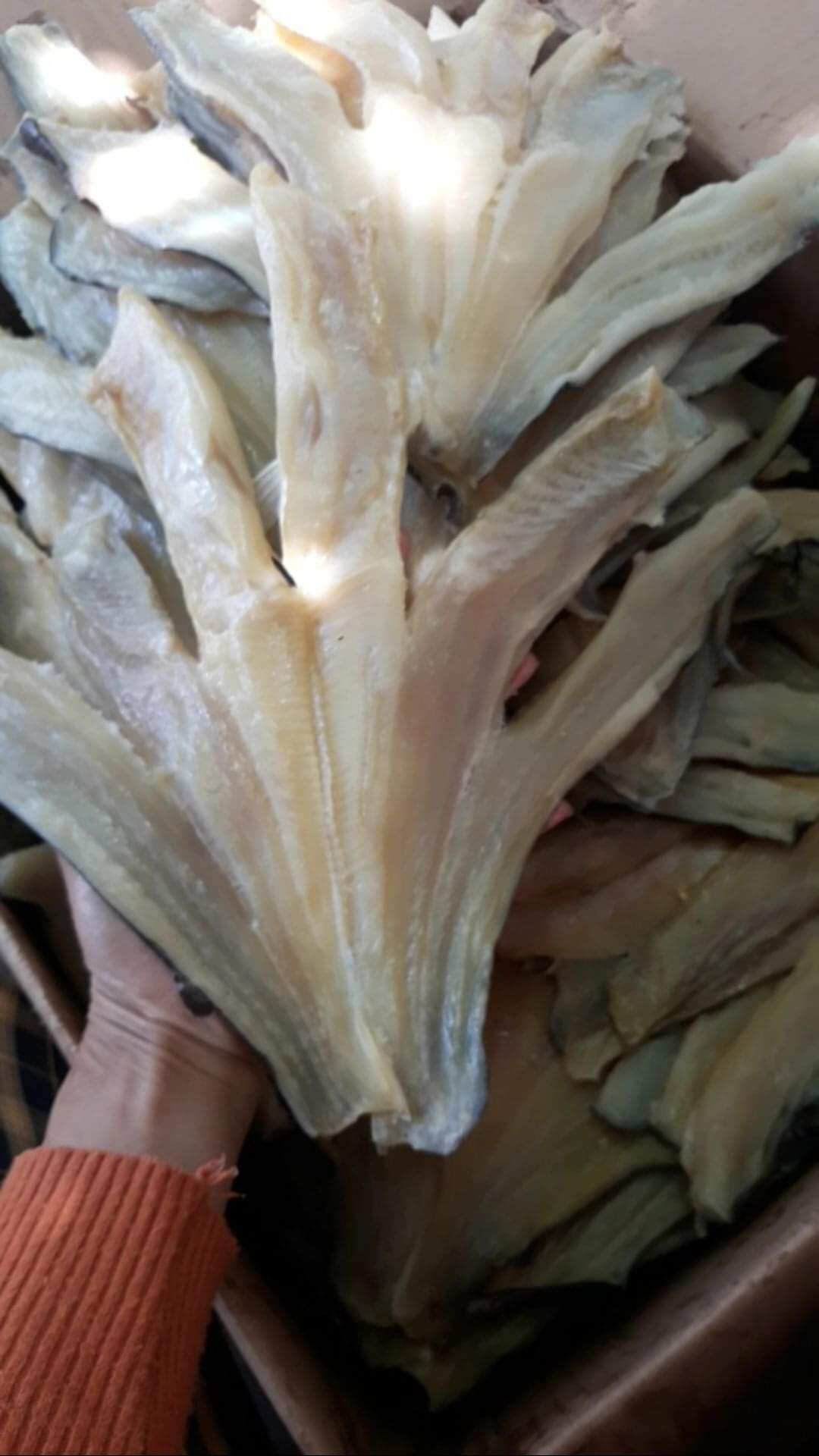 Khô cá dứa 500gram