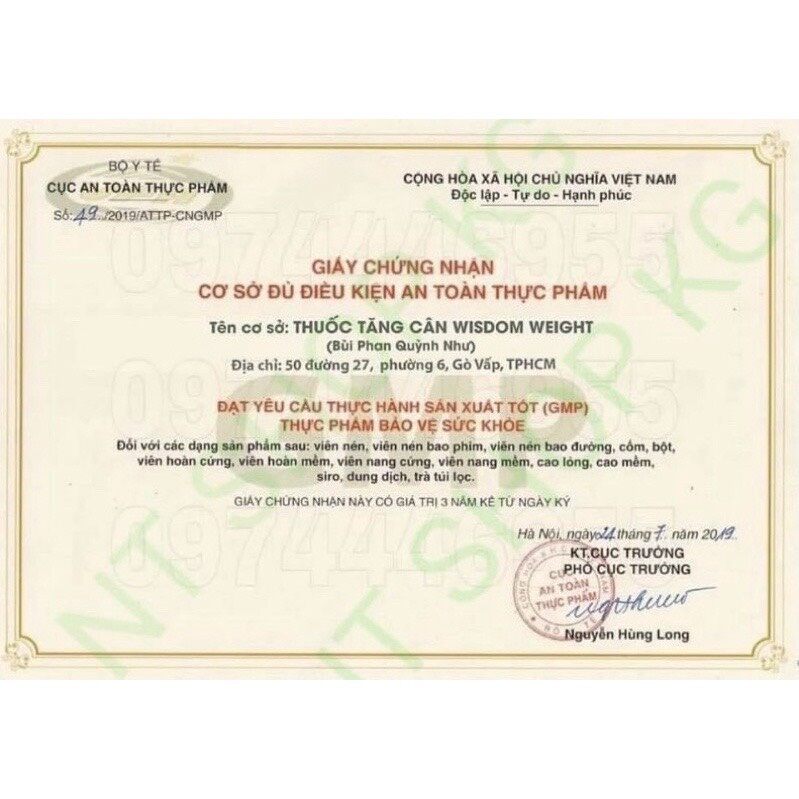 Viên Hỗ Trợ Tăng Cân Wisdom Wight