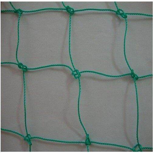 Lưới làm giàn cây leo 1 x 2 mét