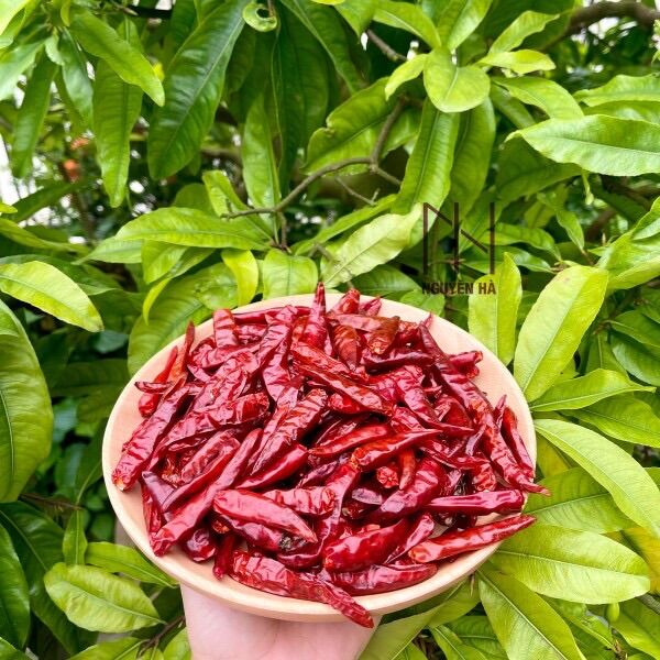 Ớt Huế sấy lạnh