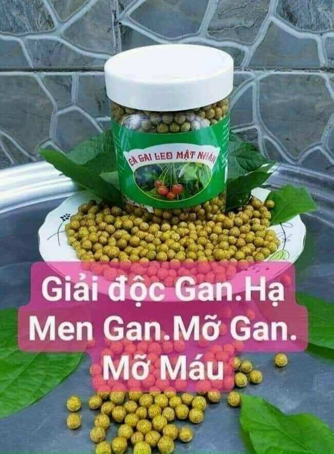 Hộp viên cà gai leo