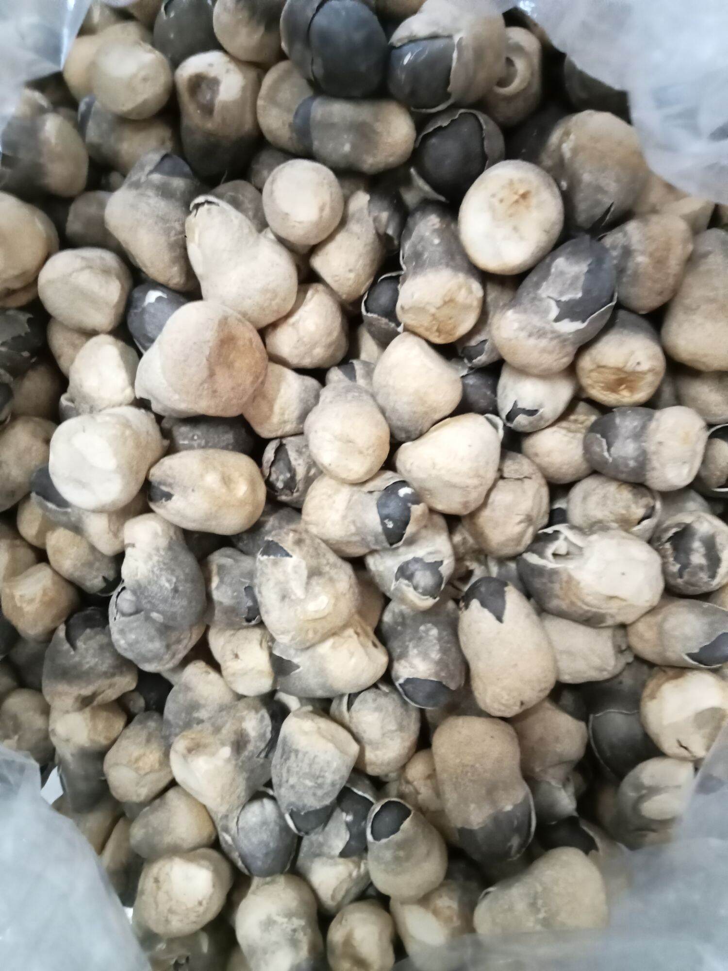 Nấm Rơm Mecco Sấy Thăng Hoa 250g