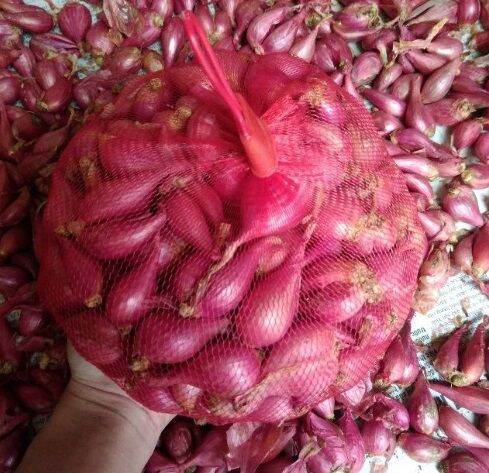 Hành tím Lý Sơn túi lưới 1kg