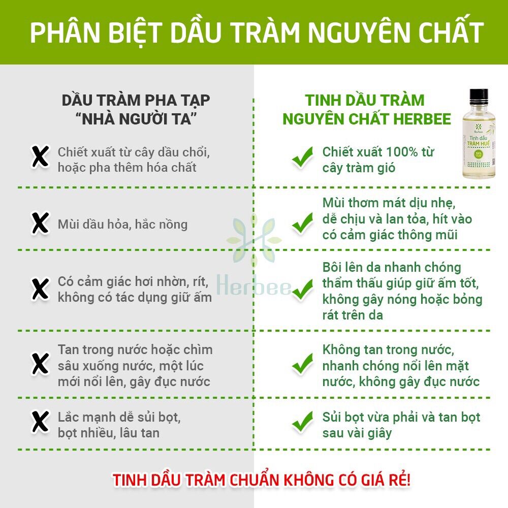 Tinh Dầu Tràm Huế Herbee Nguyên Chất