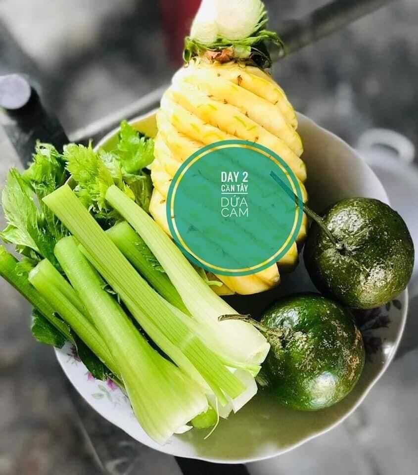 HẠT GIỐNG CẦN TÂY ÉP NƯỚC KHỔNG LỒ
