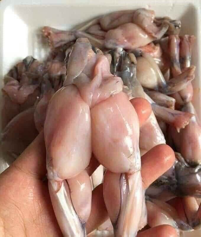 Đùi ếch vĩ 500g (giao 4h tphcm)