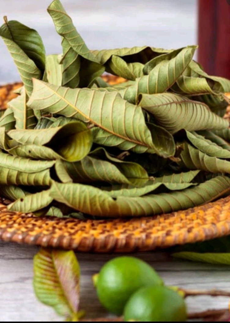 Trà lá ổi nguyên chất 1 ký