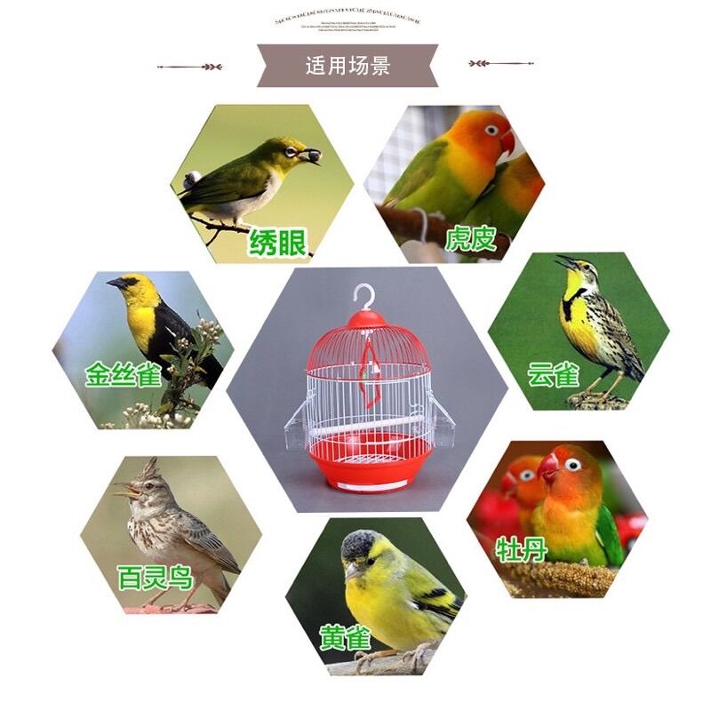 Lồng chim bằng sắt sơn tĩnh điện