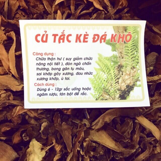 [ 100gr ] Cốt Toái Bổ ( củ Tắc Kè Đá ) Khô Thơm - Vàng Đẹp