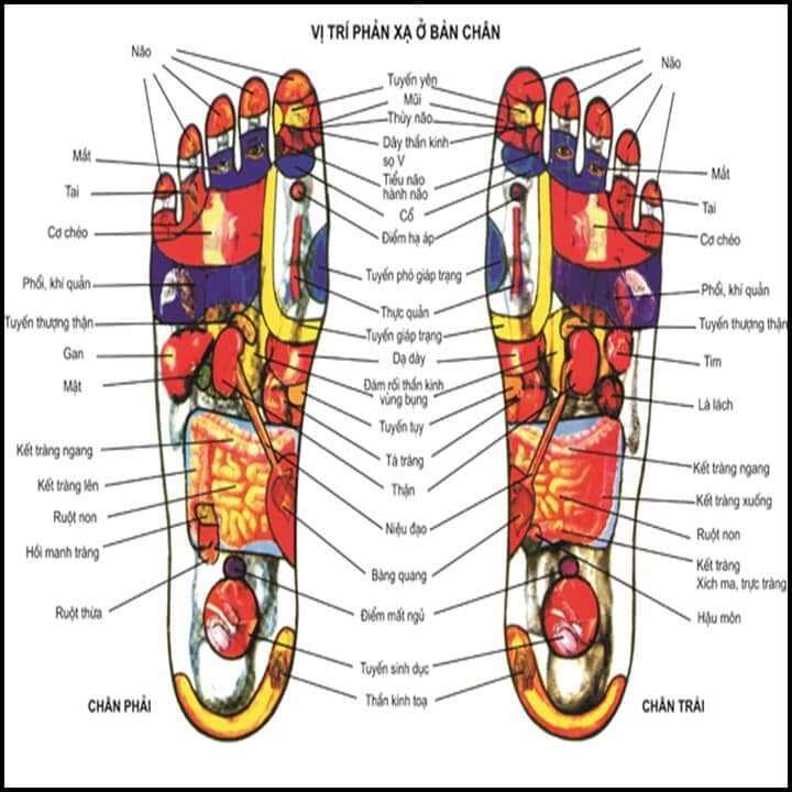 Bồn ngâm chân massage Lasen