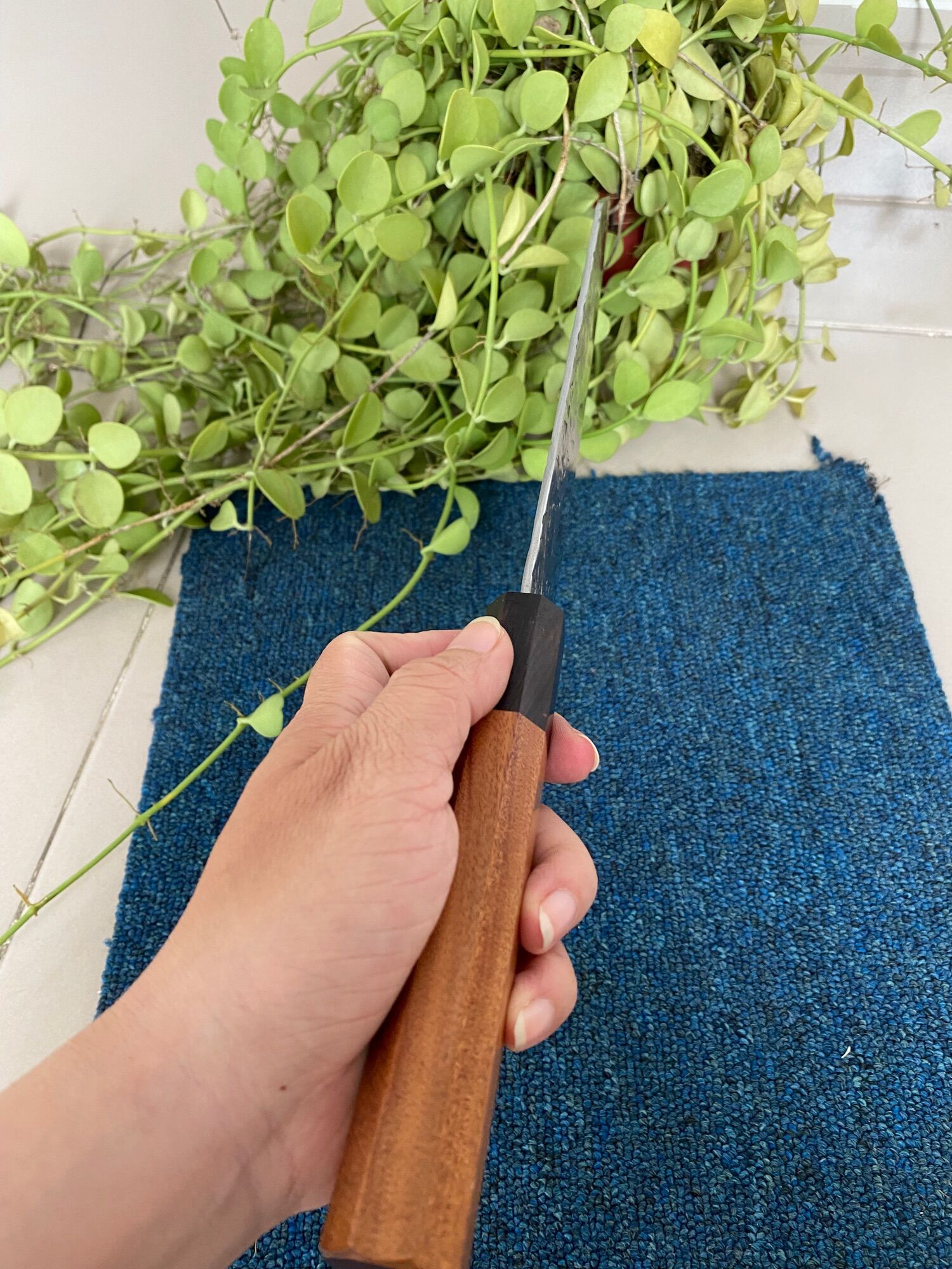 Dao thái Akastu nhật bãi, mới 98%