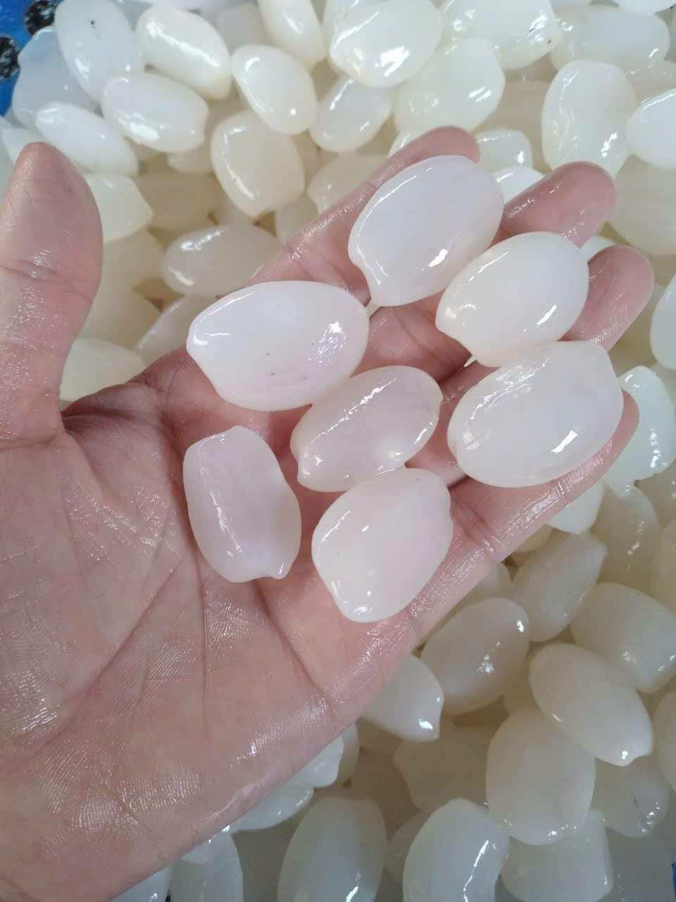 5 KÝ HẠT ĐÁC TƯƠI SIZE TRUNG HÀNG LỰA DẺO 1 KÝ