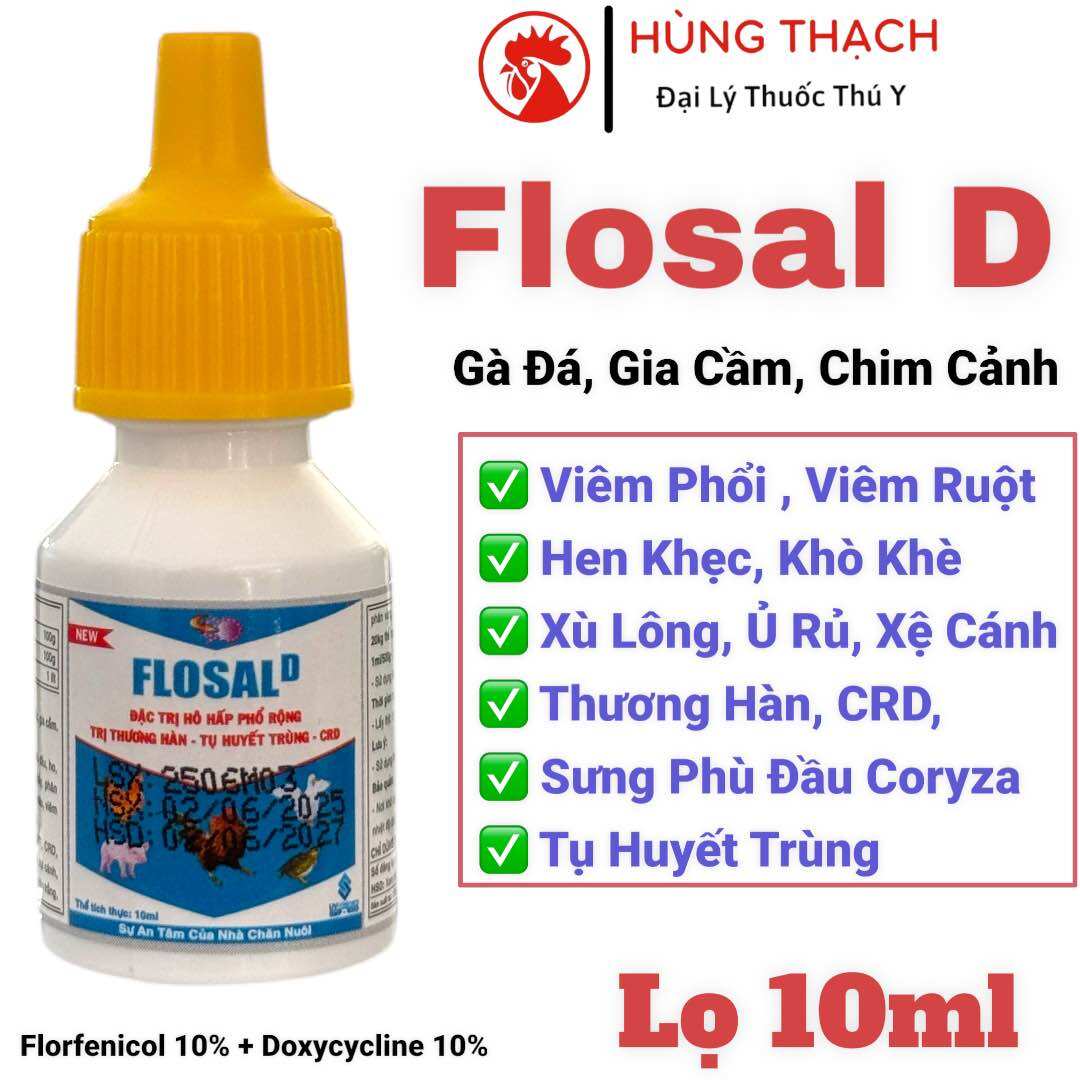 Flosal D 10ml cho gà bị khò khè, hen khẹc, sổ mũi các bệnh trên hô hấp trên gà đá, gà chọi, gà đòn, gà cựa