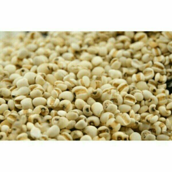 100g hạt ý dĩ