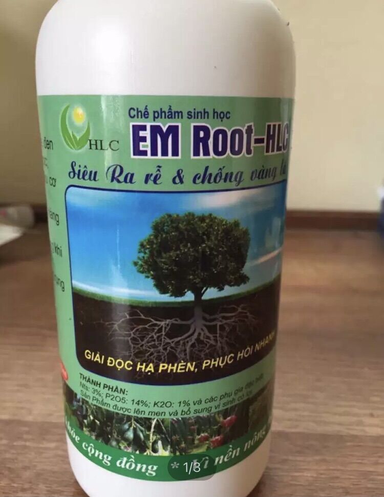 Kích rễ cây em root cho cây phát triển bộ dễ mạnh bung đọt ra lá mới