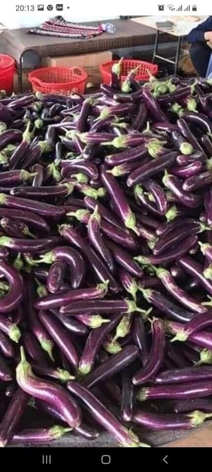 Cà tím 1kg