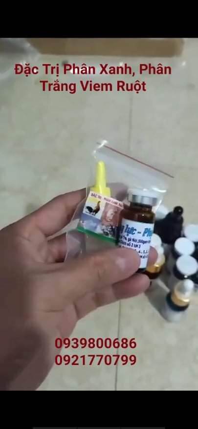 PHÂN XANH, PHÂN TRẮNG, VIÊM RUỘT