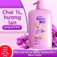 Rejoice | Dầu Gội Kiểm Soát Vảy Đầu Tăng Khối 1kg