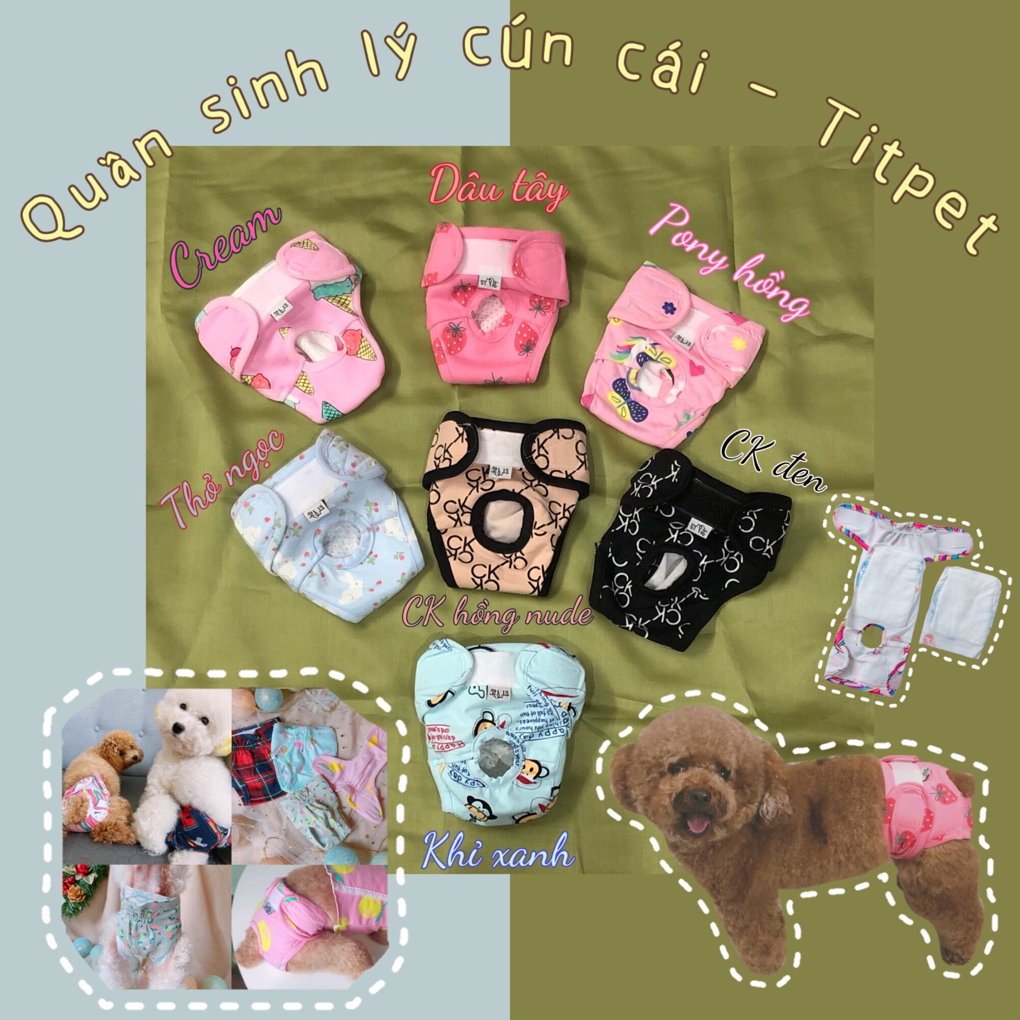 Quần sinh lý cho cún cái/quần sinh lý chó mèo kỳ xalo