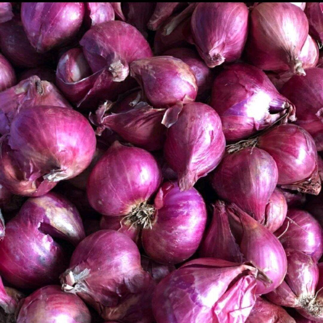 Hành củ tươi ngon ở quê 500g 1000g