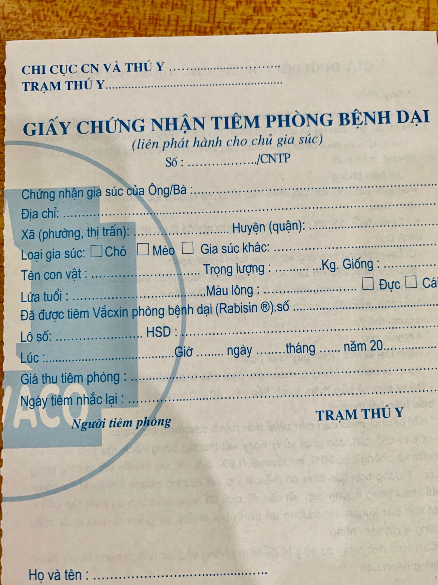 Ngừa Dại cho chó, mèo, thú cảnh.