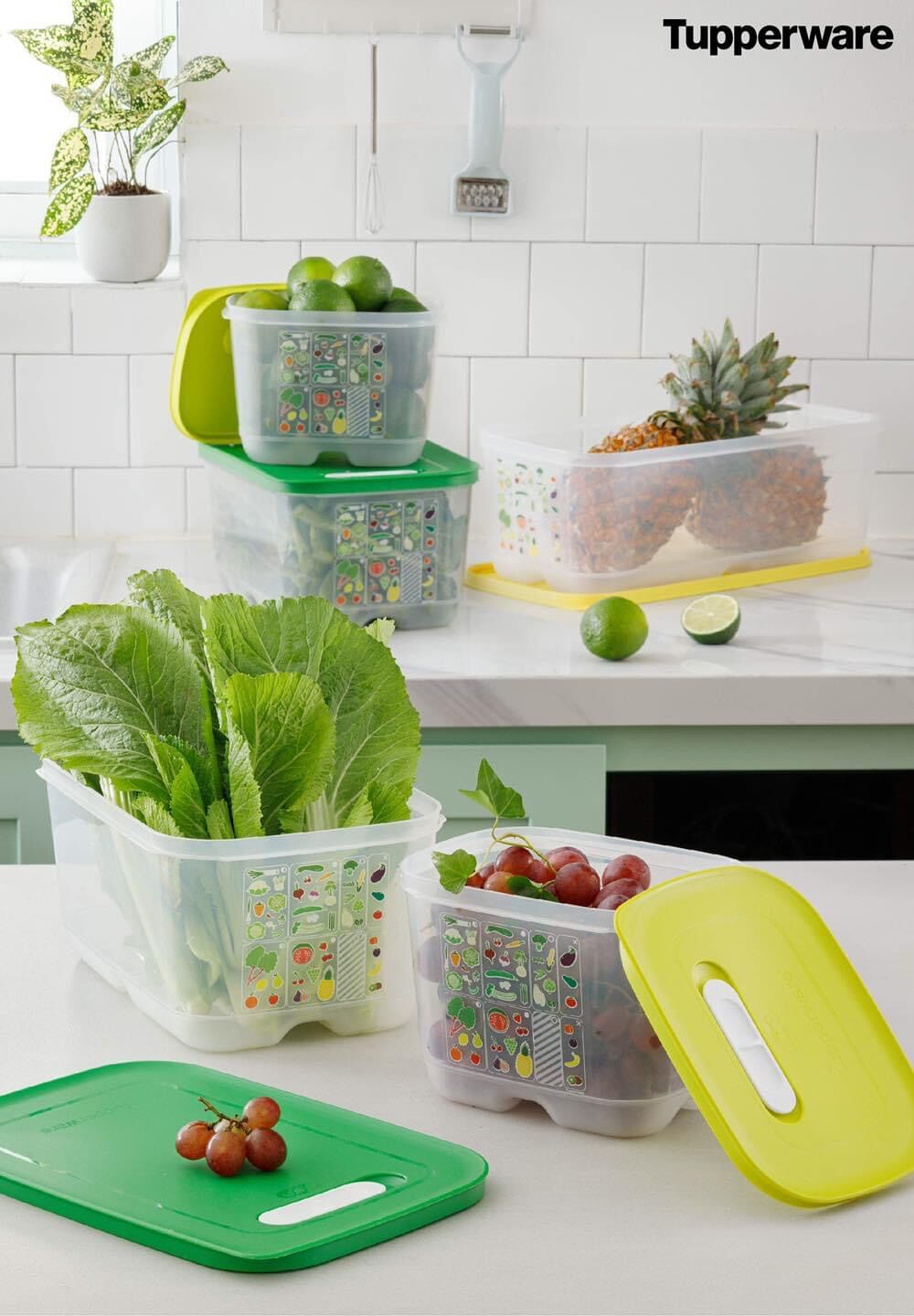 [Nhập RS0822 giảm 30k cho đơn 99k]Tupperware Ventsmart 7 hộp (Ven 7)