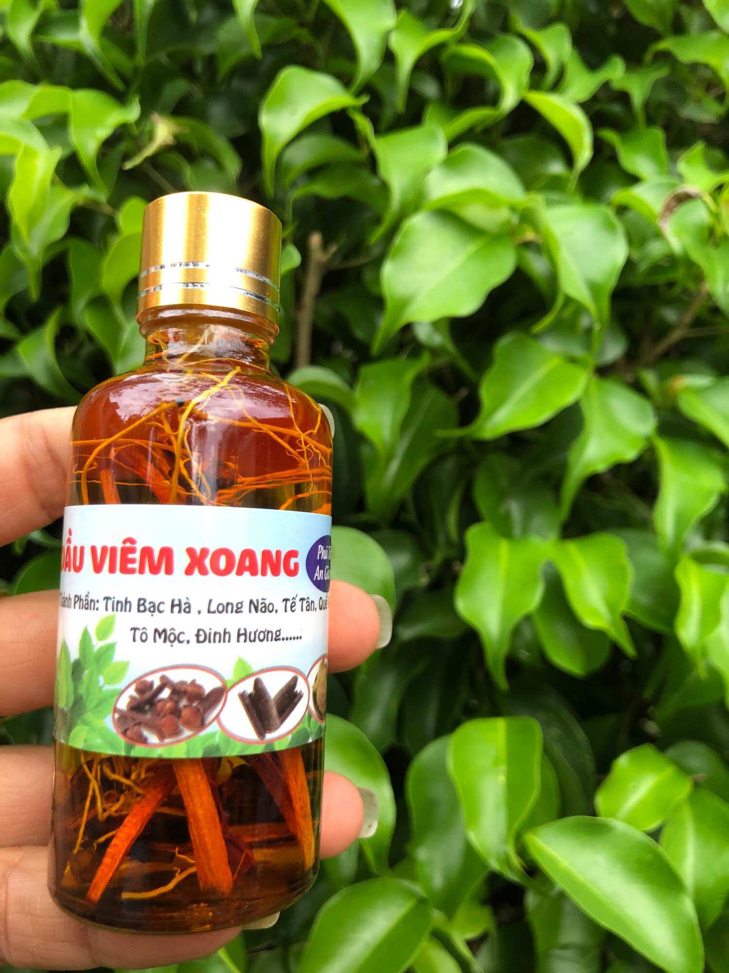 Dầu viêm xoang vàng thảo dược 50ml