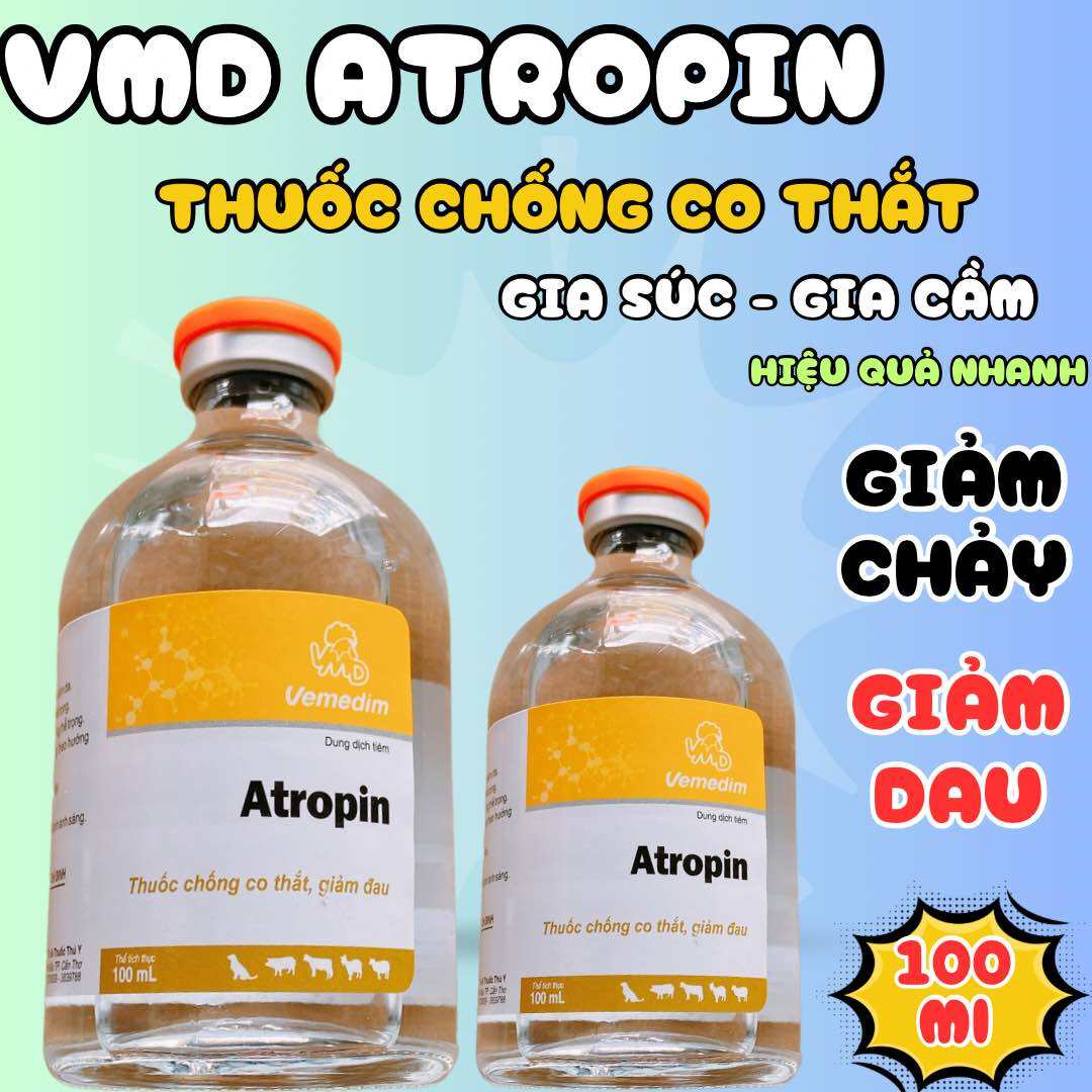 Atropin 100ml chống co thắt heo, trâu, bò