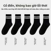 JIAZINI | Vớ Dài Thời Trang Bằng Cotton Trắng cho Phụ Nữ Mùa Thu/Đông