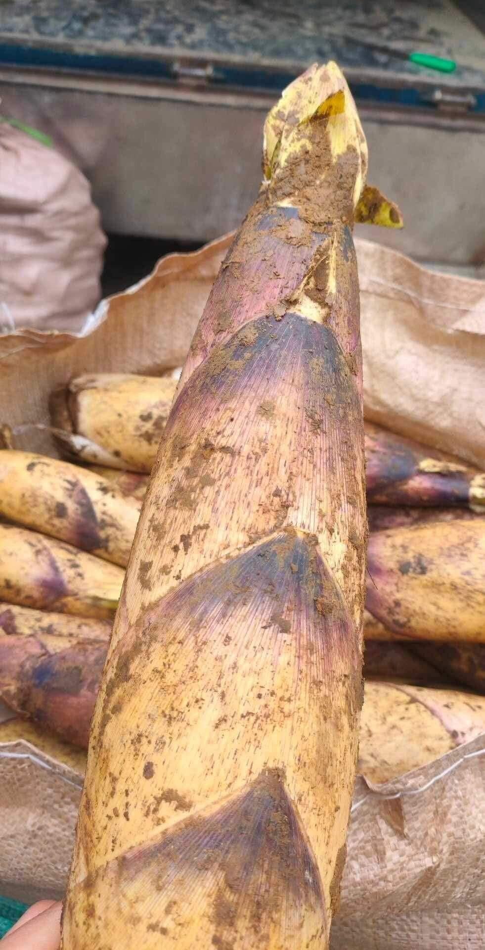 Măng vầu ngọt Tây Bắc 1kg