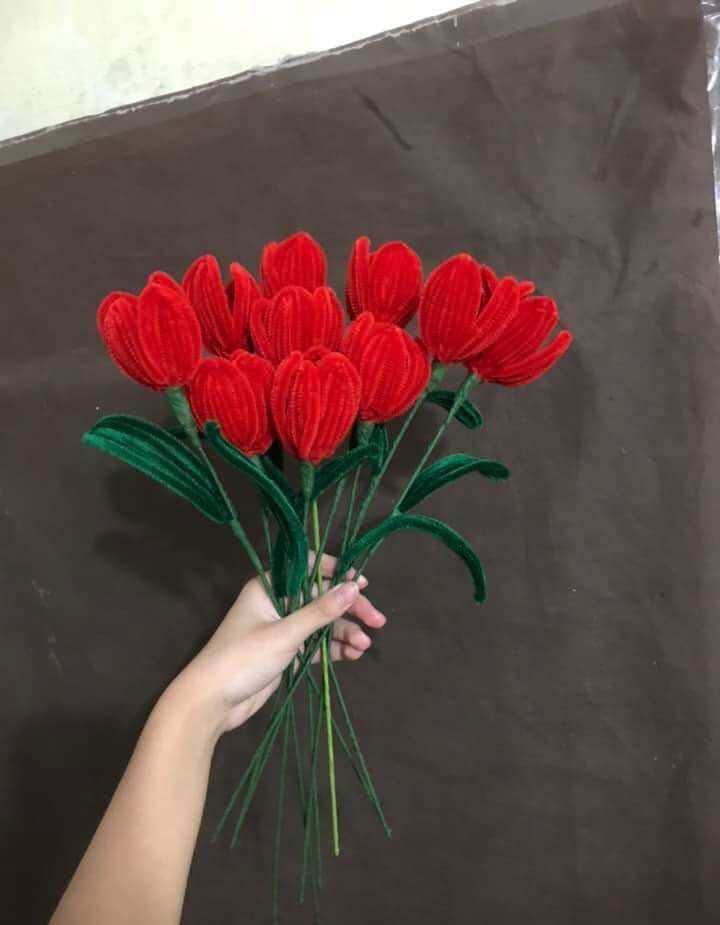 Hoa tulip kẽm Nhung