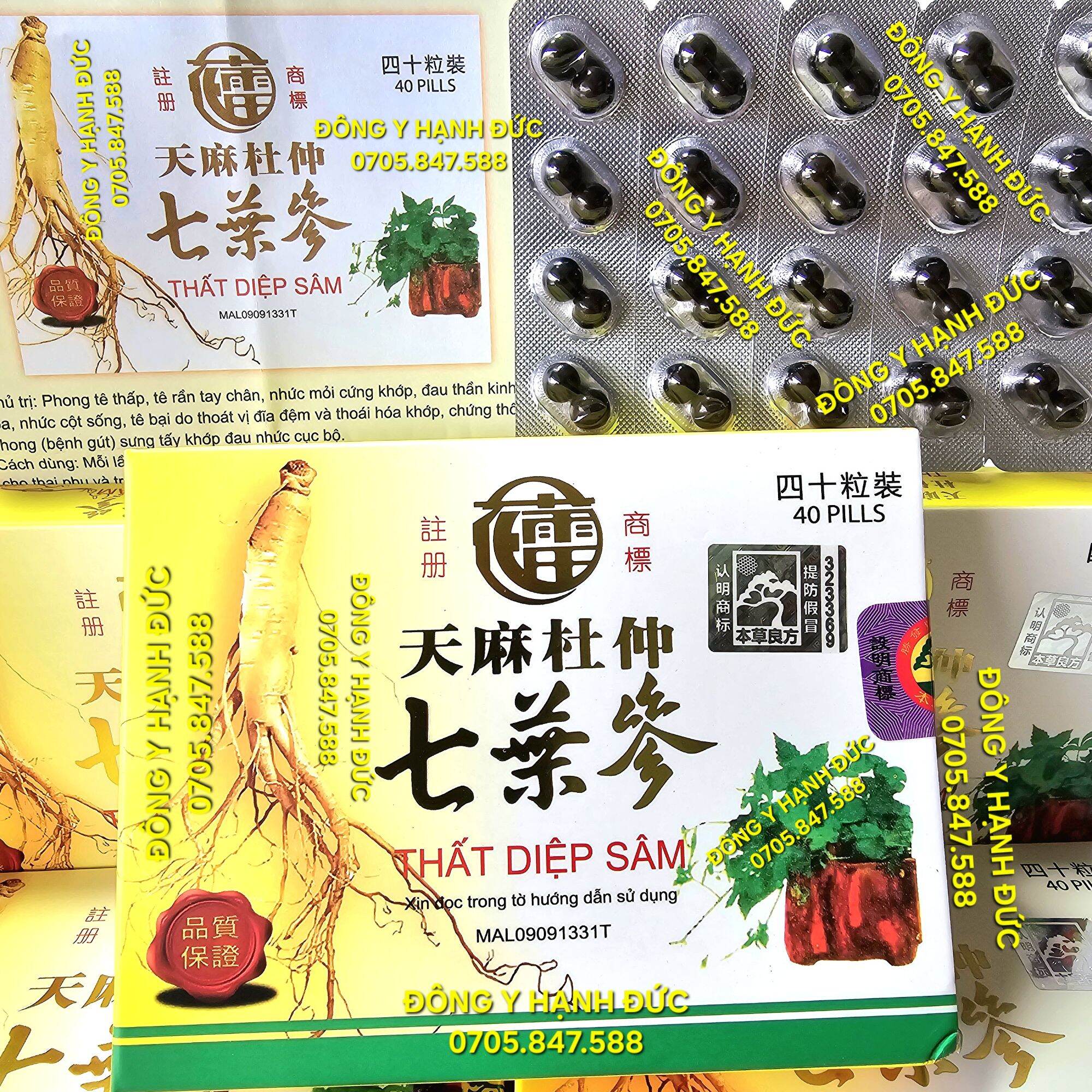 Thất Diệp Sâm mẫu viên Đen. Hỗ trợ đau nhức xương khớp. Hộp vĩ 40 viên.