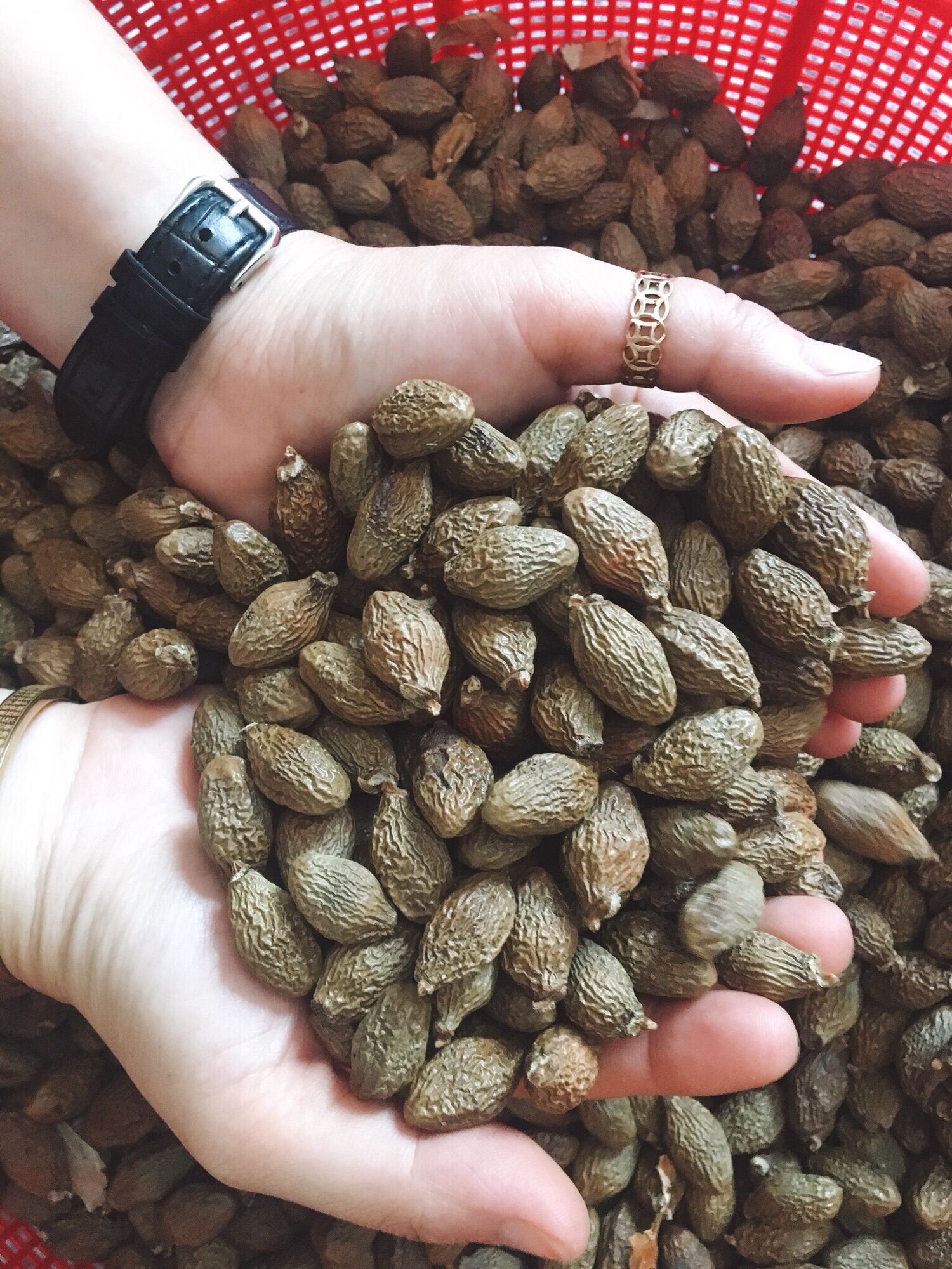 Hạt đười ươi khô 500gr