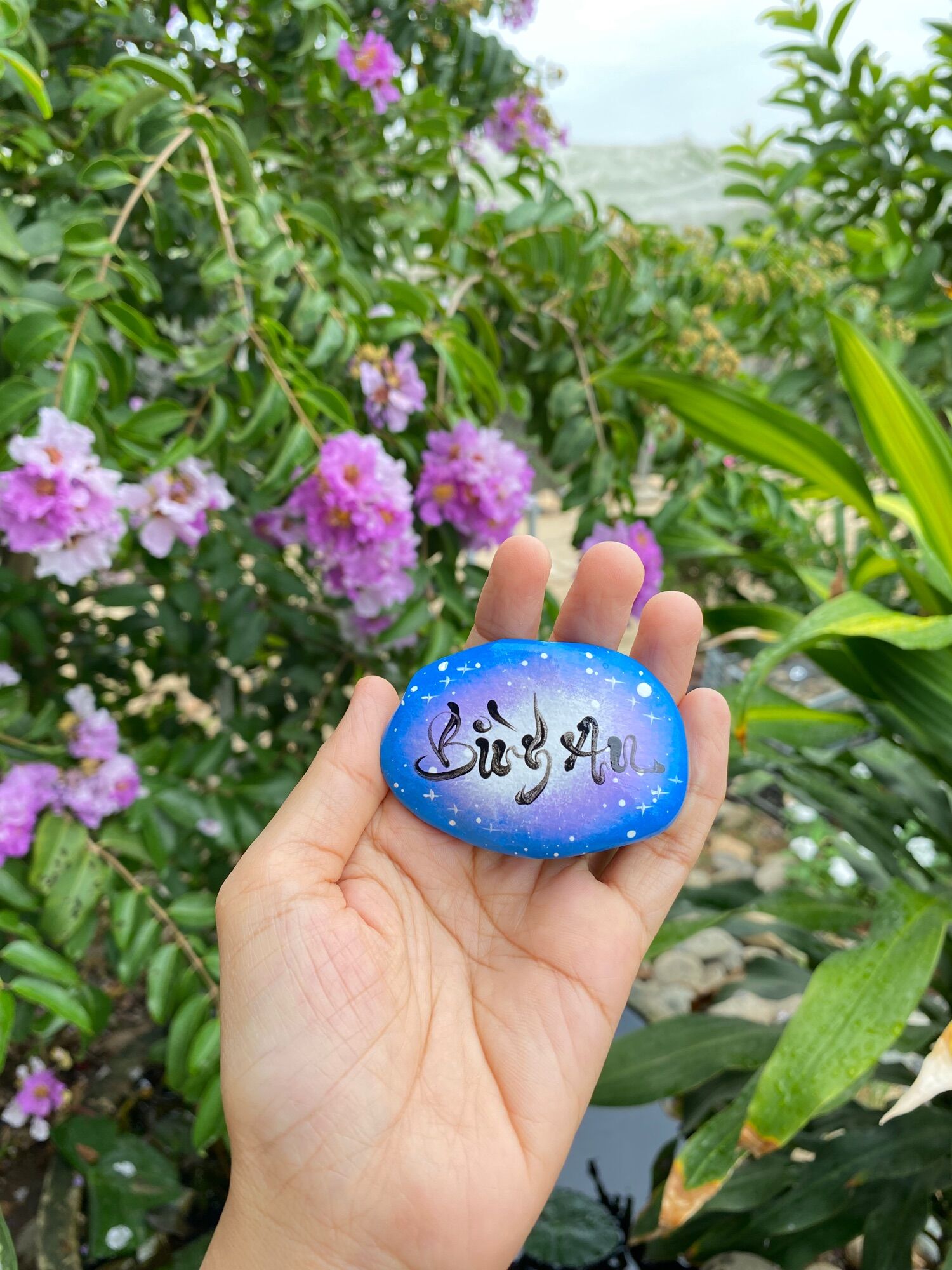Hòn đá biết ơn 7 chữ khác nhau